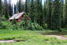 Load image into Gallery viewer, Cabin Fever - Wax Melt